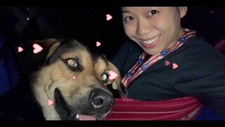 REGERINGEN ER DIN FJENDE, og DE VIL k. ALLE OS, HVIS DU IKKE TAGER ACTION NU! VÆLTE DINE GOVTS &amp;amp; LYS OP ALLE 5G TÅRNE, NU, FØR DET k.S OS ALLE!!